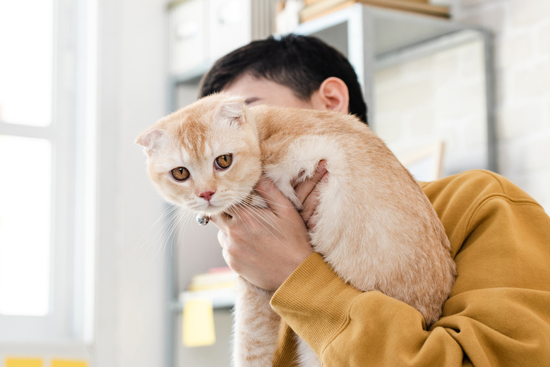 Owner Holding a Pet Cat
